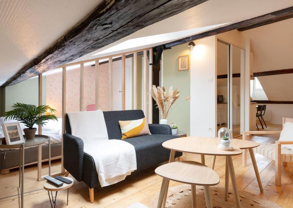 Le Cosy Du Pont Mouja Apartment Nancy Luaran gambar